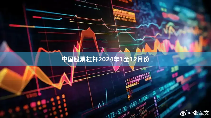 中国股票杠杆　　2024年1至12月份