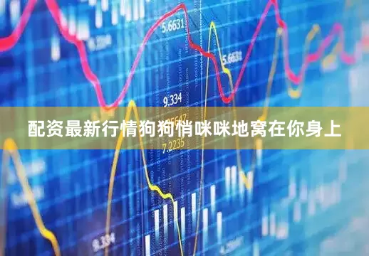 配资最新行情狗狗悄咪咪地窝在你身上