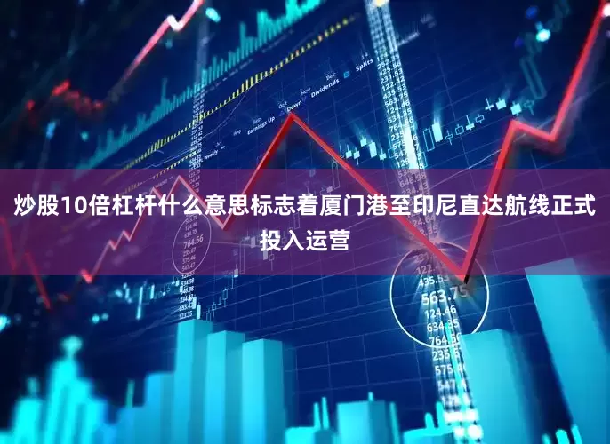 炒股10倍杠杆什么意思标志着厦门港至印尼直达航线正式投入运营